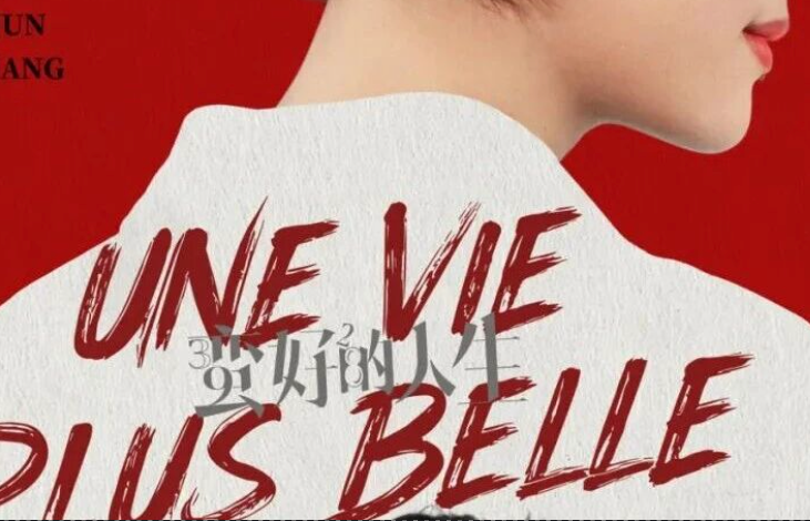 这部国产剧上线首周近10万次观看，超5000人收藏，法国人比我们想象的还“上头”